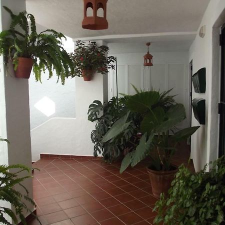 Apartamento En Conil كونيل ذي لا فرونتيرا المظهر الخارجي الصورة
